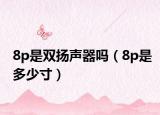 8p是雙揚聲器嗎（8p是多少寸）