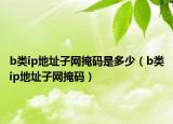 b類ip地址子網(wǎng)掩碼是多少（b類ip地址子網(wǎng)掩碼）