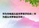 華為充電插頭能充蘋(píng)果手機(jī)嗎（華為插頭充蘋(píng)果會(huì)怎樣）