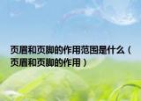 頁眉和頁腳的作用范圍是什么（頁眉和頁腳的作用）