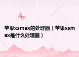 蘋果xsmax的處理器（蘋果xsmax是什么處理器）
