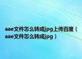 aae文件怎么轉(zhuǎn)成jpg上傳百度（aae文件怎么轉(zhuǎn)成jpg）