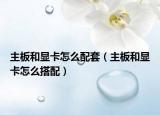 主板和顯卡怎么配套（主板和顯卡怎么搭配）