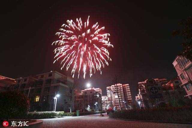 各地除夕夜燃放絢爛煙花 火樹銀花喜迎生肖雞年到來(lái)