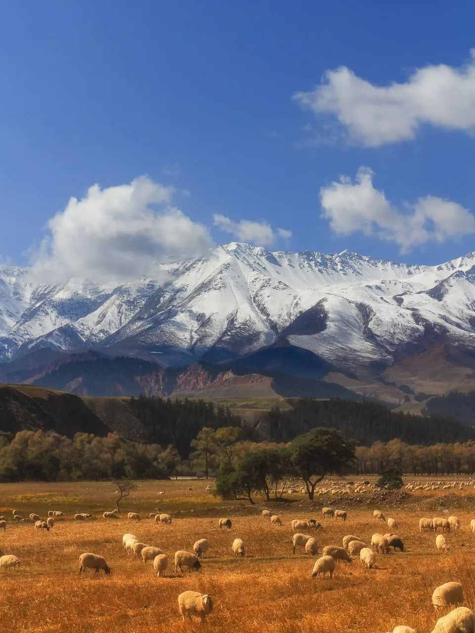 9月國內最值得去的九個旅行地，每一個都藏著絕美的風景