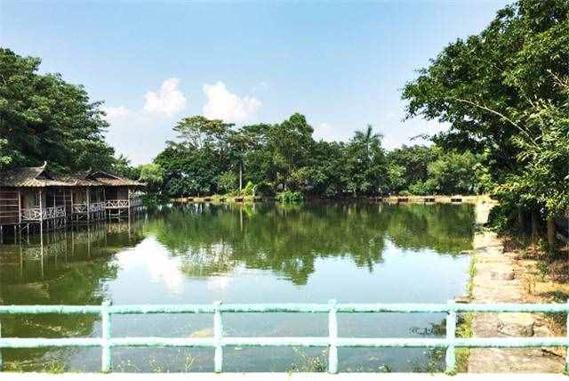 在惠州這家度假村，住在懸在湖邊的小木屋是什么樣的體驗