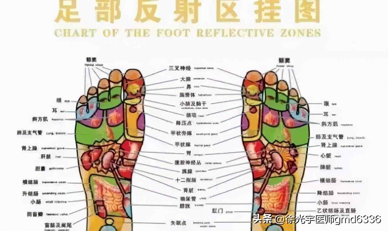 久等了，甲狀腺的中醫(yī)調(diào)理之法來啦