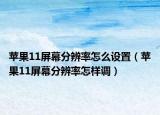 蘋果11屏幕分辨率怎么設(shè)置（蘋果11屏幕分辨率怎樣調(diào)）
