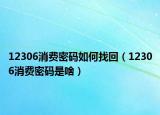 12306消費(fèi)密碼如何找回（12306消費(fèi)密碼是啥）