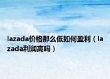 lazada價格那么低如何盈利（lazada利潤高嗎）
