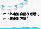 mini5電池容量在哪看（mini5電池容量）