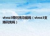 vivoz3帶閃充功能嗎（vivoz3支持閃充嗎）