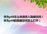 華為p40怎么快速進(jìn)入隱藏空間（華為p40的隱藏空間怎么打開）