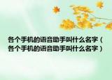 各個手機的語音助手叫什么名字（各個手機的語音助手叫什么名字）