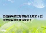 微信的舉報雙封號是什么意思（微信舉報雙封號什么意思）