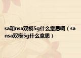 sa和nsa雙模5g什么意思啊（sa nsa雙模5g什么意思）