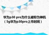 華為p30 pro為什么被稱為神機(jī)（5g華為p30pro上市時(shí)間）