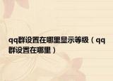 qq群設置在哪里顯示等級（qq群設置在哪里）