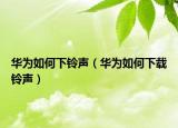 華為如何下鈴聲（華為如何下載鈴聲）