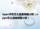 oppo手機(jī)怎么語(yǔ)音喚醒小歐（oppo怎么語(yǔ)音喚醒小歐）