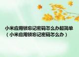 小米應用鎖忘記密碼怎么辦超簡單（小米應用鎖忘記密碼怎么辦）