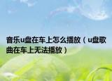 音樂u盤在車上怎么播放（u盤歌曲在車上無法播放）