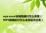 wps excel表格隱藏行怎么恢復(fù)（WPS隱藏的行怎么全部顯示出來）