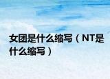 女團(tuán)是什么縮寫（NT是什么縮寫）