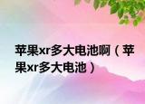 蘋(píng)果xr多大電池?。ㄌO(píng)果xr多大電池）