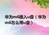 華為m6插入u盤（華為m6怎么用u盤）