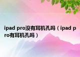 ipad pro沒有耳機(jī)孔嗎（ipad pro有耳機(jī)孔嗎）