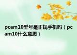 pcam10型號是正規(guī)手機(jī)嗎（pcam10什么意思）