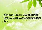 華為mate 30pro 忘記鎖屏密碼（華為mate30pro忘記鎖屏密碼怎么辦）