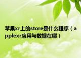 蘋果xr上的store是什么程序（applexr應(yīng)用與數(shù)據(jù)在哪）