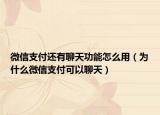 微信支付還有聊天功能怎么用（為什么微信支付可以聊天）