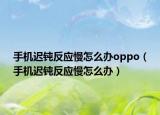 手機(jī)遲鈍反應(yīng)慢怎么辦oppo（手機(jī)遲鈍反應(yīng)慢怎么辦）