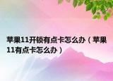 蘋果11開鎖有點卡怎么辦（蘋果11有點卡怎么辦）