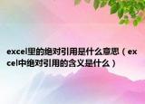 excel里的絕對引用是什么意思（excel中絕對引用的含義是什么）