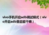 vivo手機(jī)開啟adb調(diào)試模式（vivo開啟adb重啟能干嘛）