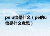 pe u盤是什么（pe的u盤是什么意思）