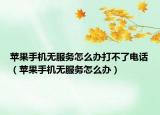 蘋果手機無服務(wù)怎么辦打不了電話（蘋果手機無服務(wù)怎么辦）