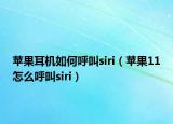 蘋(píng)果耳機(jī)如何呼叫siri（蘋(píng)果11怎么呼叫siri）