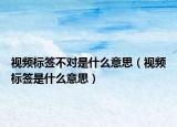 視頻標簽不對是什么意思（視頻標簽是什么意思）