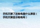 手機(jī)滅屏了還耗電是什么原因（手機(jī)滅屏顯示耗電嗎）