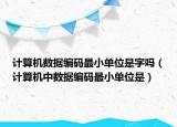 計算機(jī)數(shù)據(jù)編碼最小單位是字嗎（計算機(jī)中數(shù)據(jù)編碼最小單位是）
