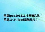 蘋果ipad201811寸是第幾代（蘋果10.2寸ipad是第幾代）
