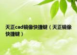 天正cad鏡像快捷鍵（天正鏡像快捷鍵）