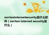 nortoninternetsecurity是什么軟件（norton internet security是什么）