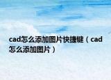 cad怎么添加圖片快捷鍵（cad怎么添加圖片）
