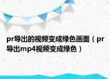 pr導(dǎo)出的視頻變成綠色畫面（pr導(dǎo)出mp4視頻變成綠色）